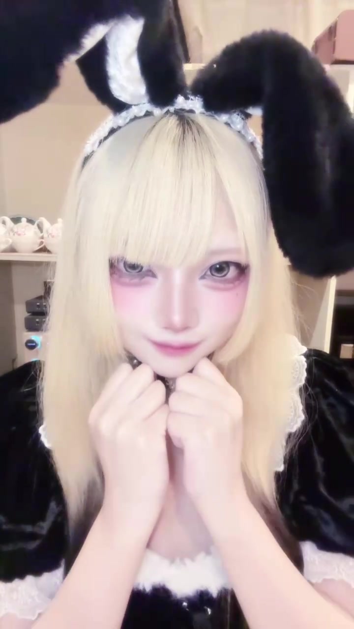 Cafe＆Bar Doll's Cafe ホットニュース 264936