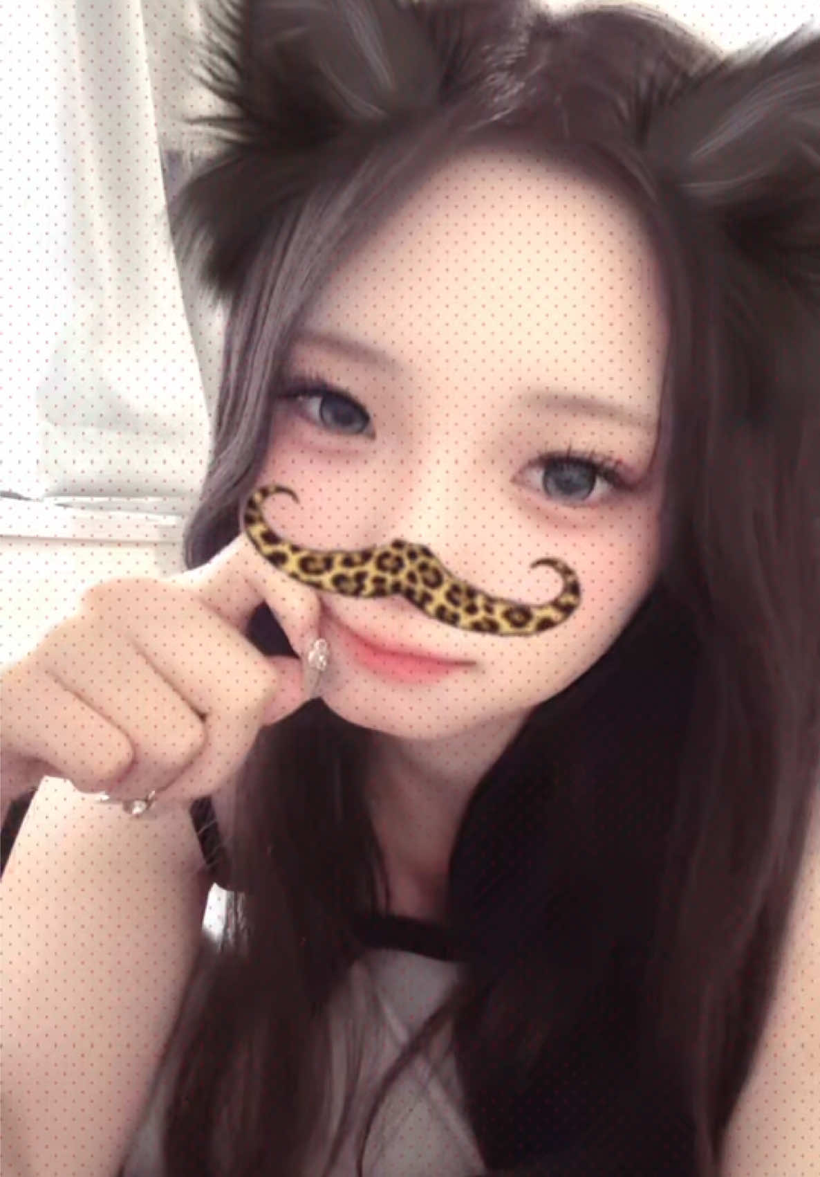 一条 葵