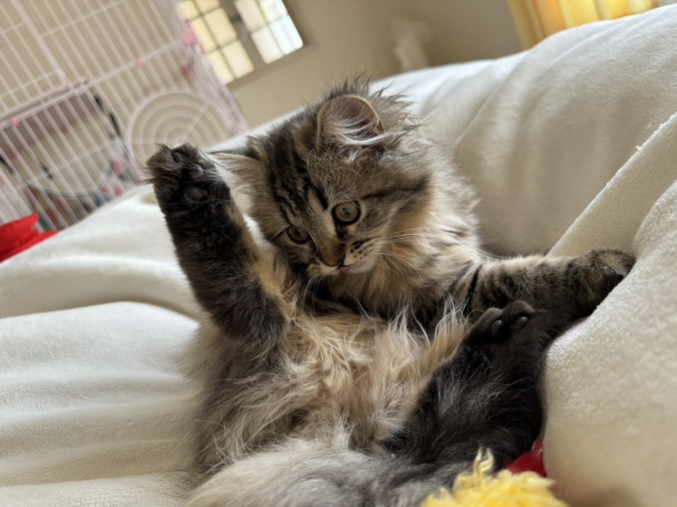 5月16日 17時50分のブログ