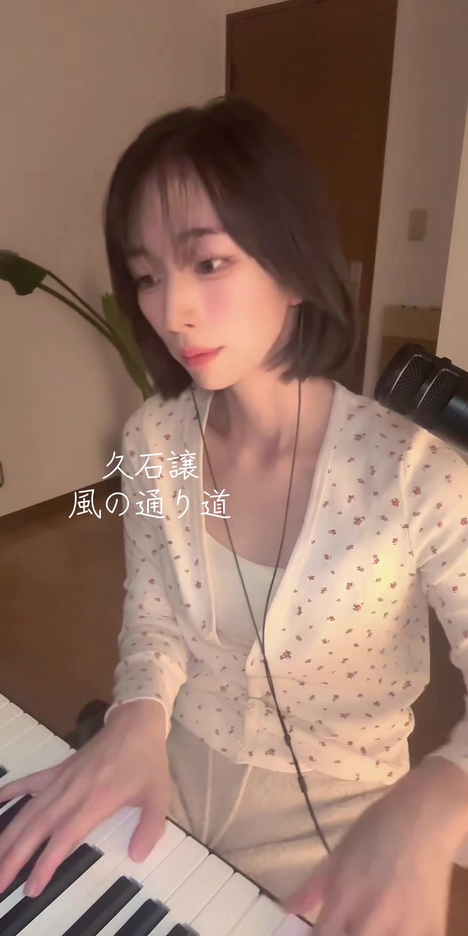 一条 葵