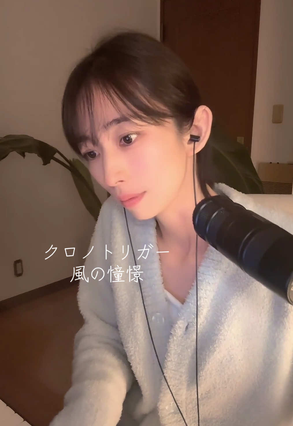 一条 葵