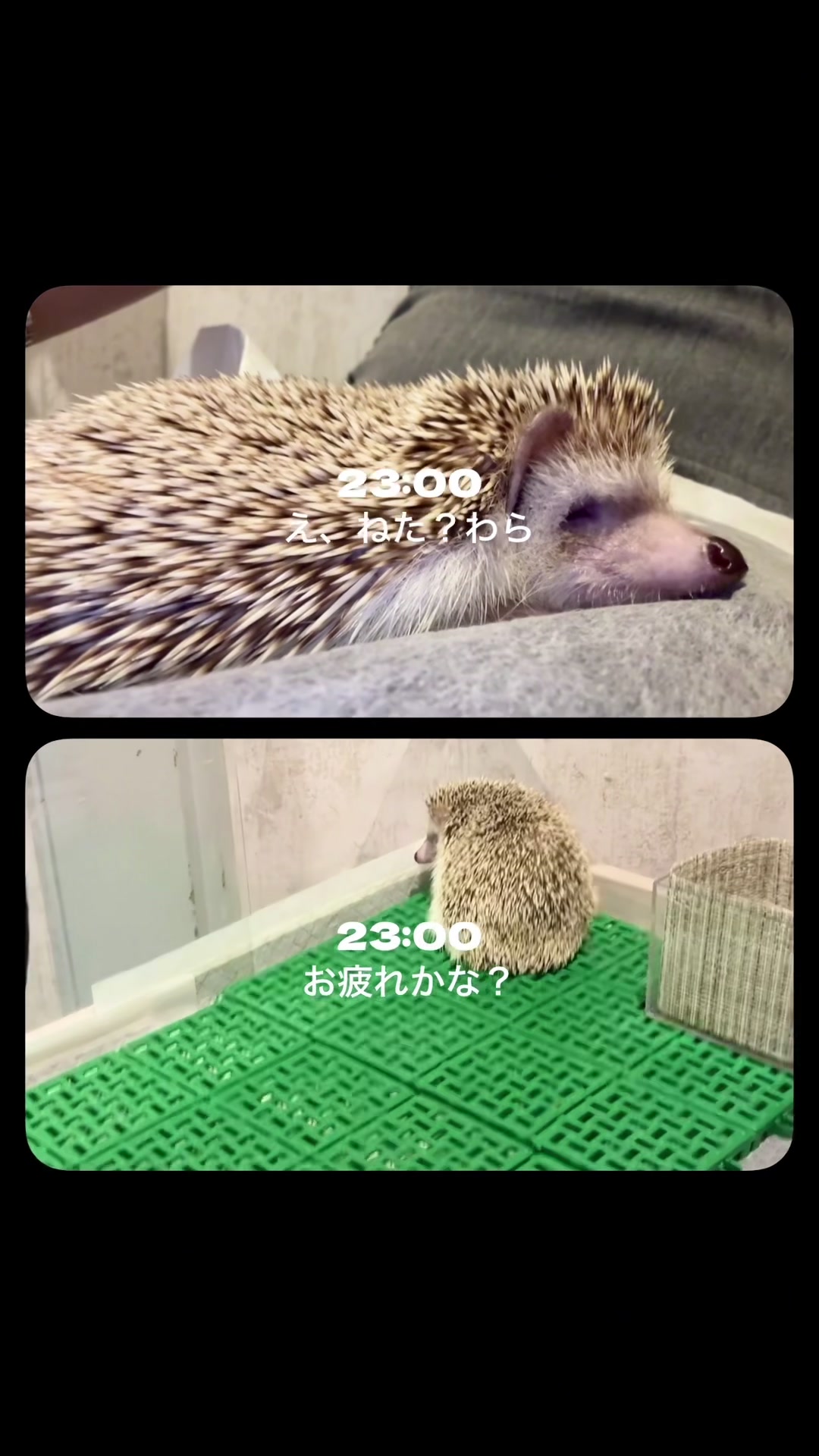 ARC日記1787753