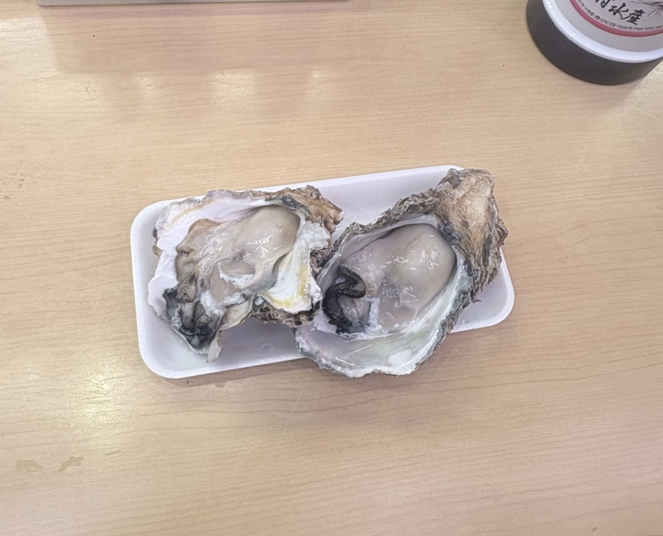 一条 葵