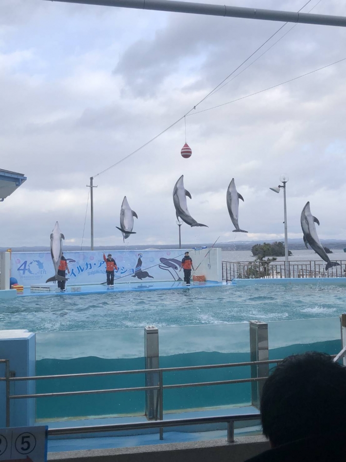 やったやったやった