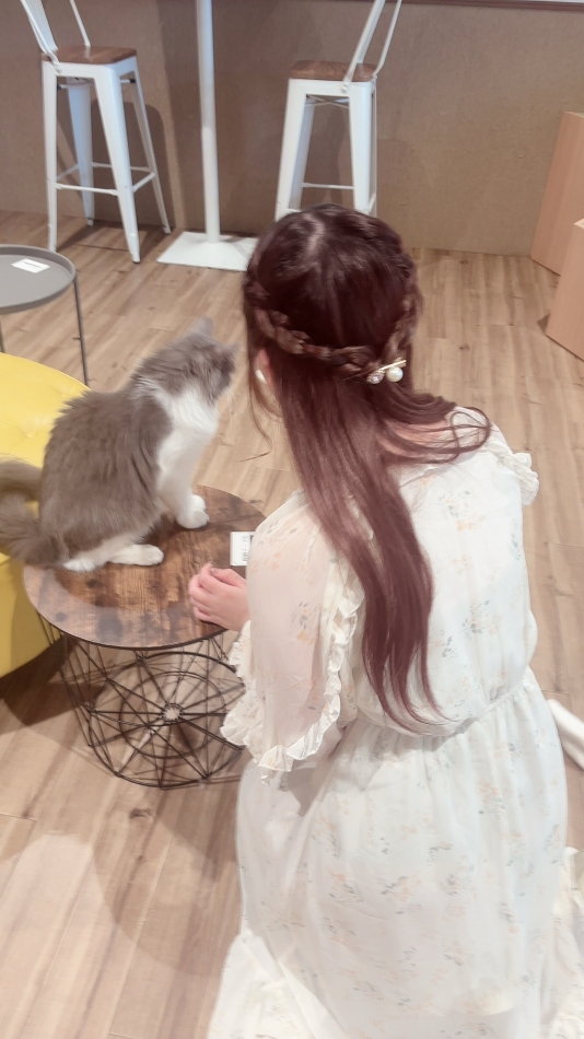 猫カフェ
