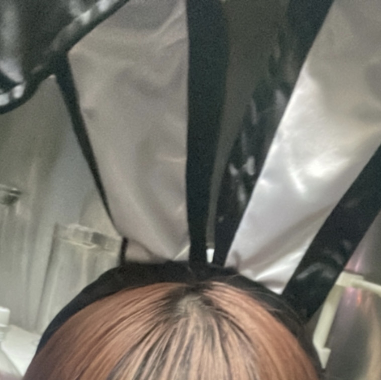 CABAR LEPUS日記888450