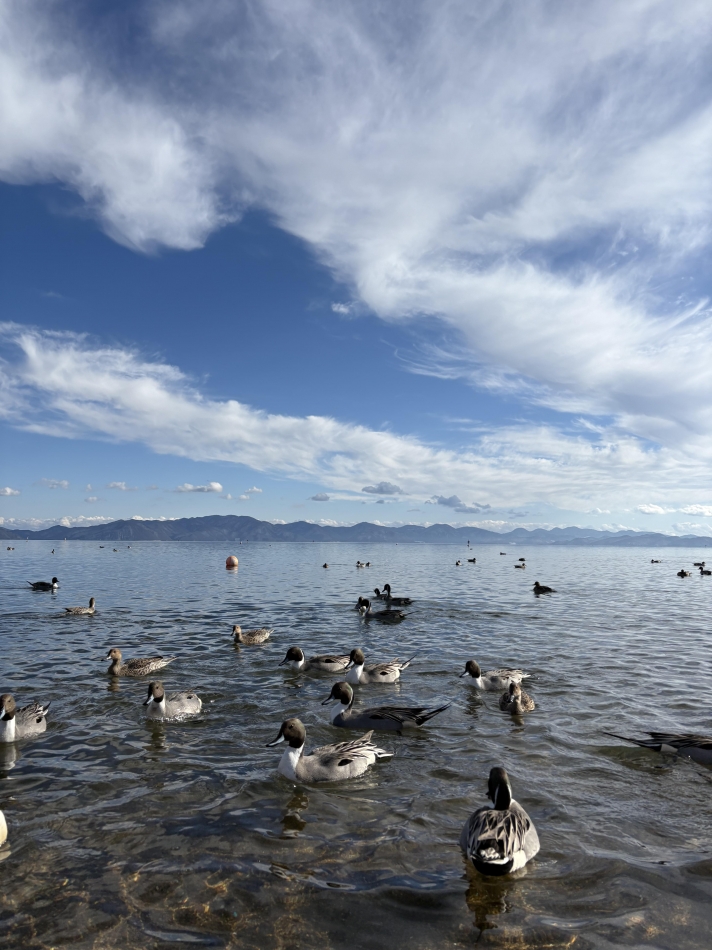 スナックBar Peace日記1582051