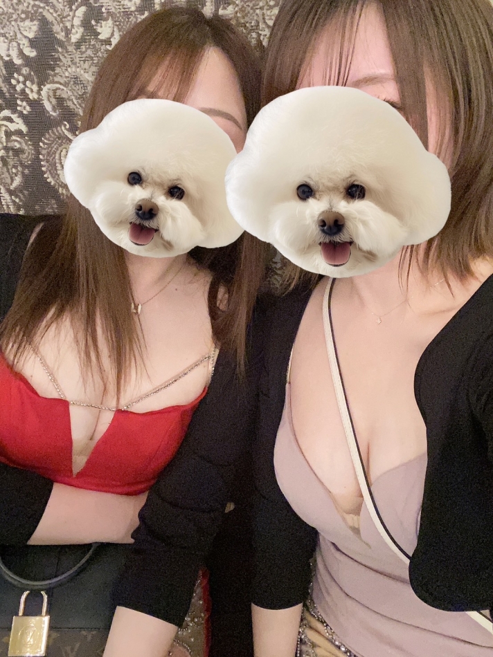 3月25日 21時06分のブログ