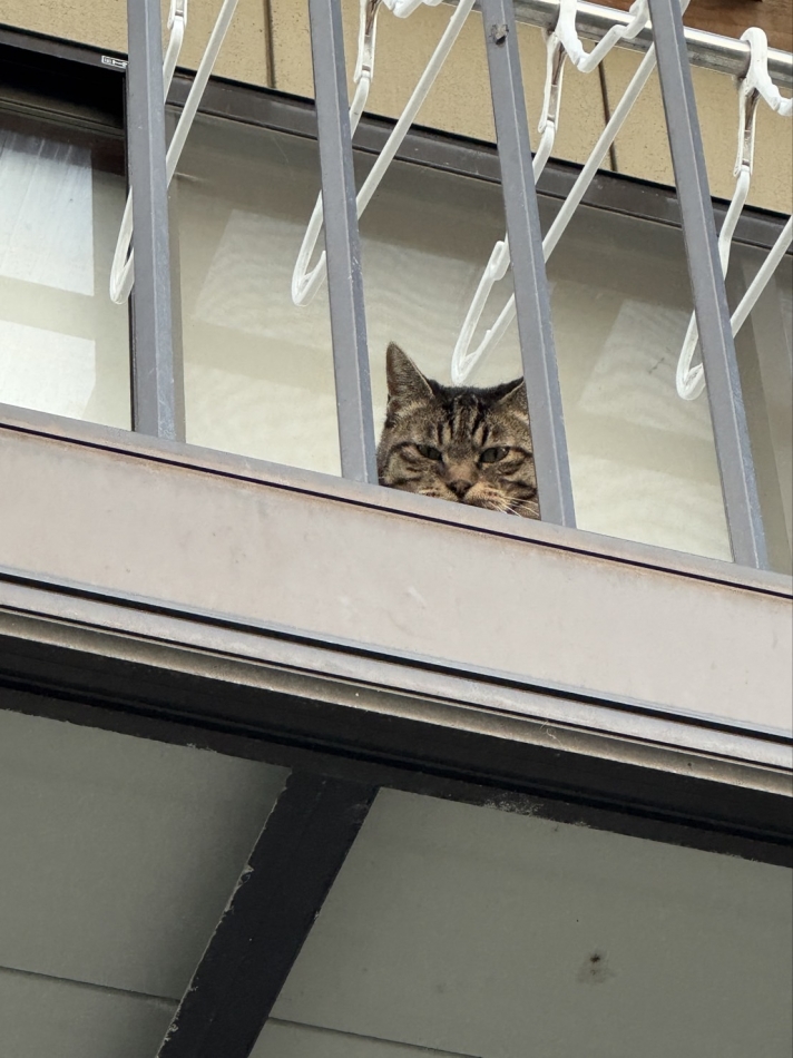 める