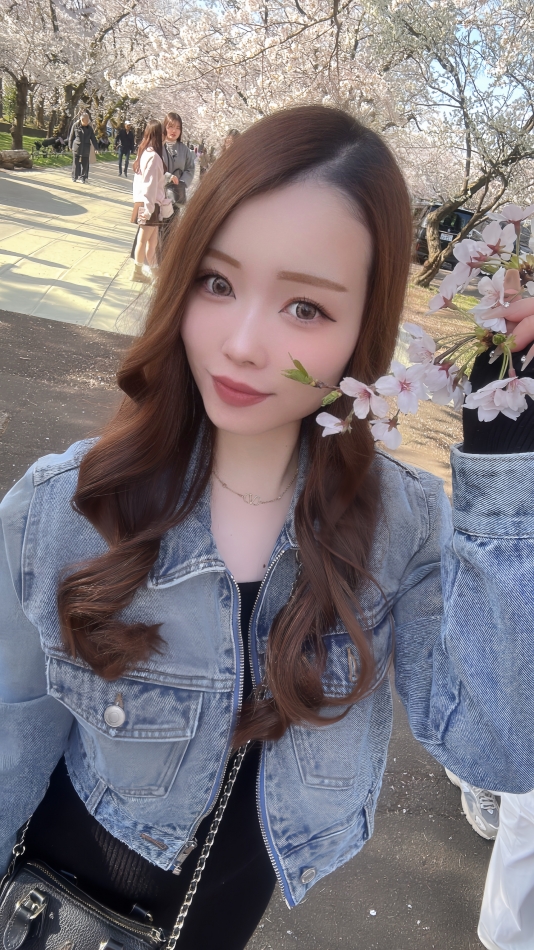 一条 葵