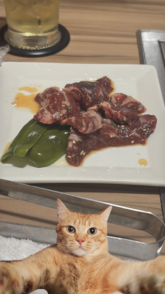 一条 葵