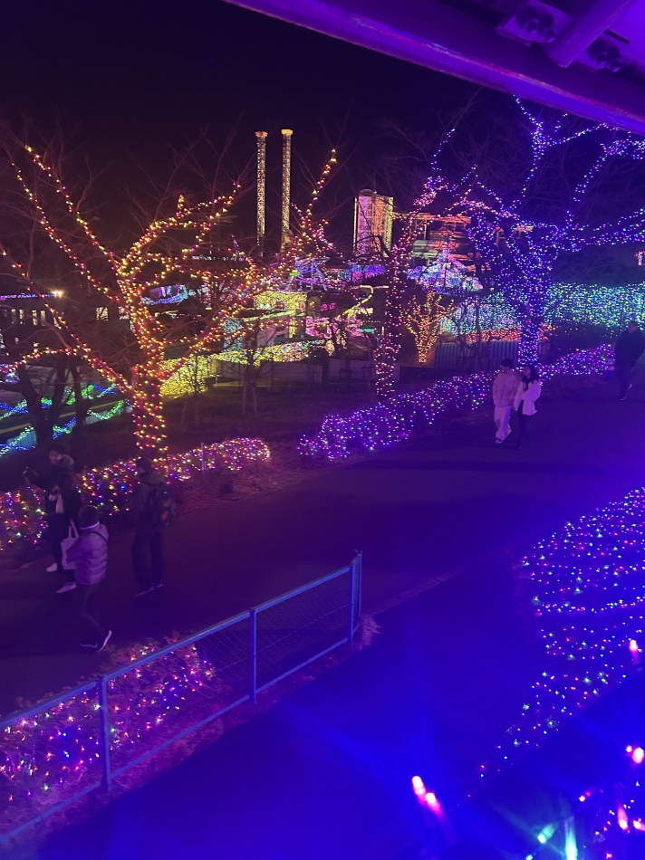 久しぶりのイルミネーション✨✨