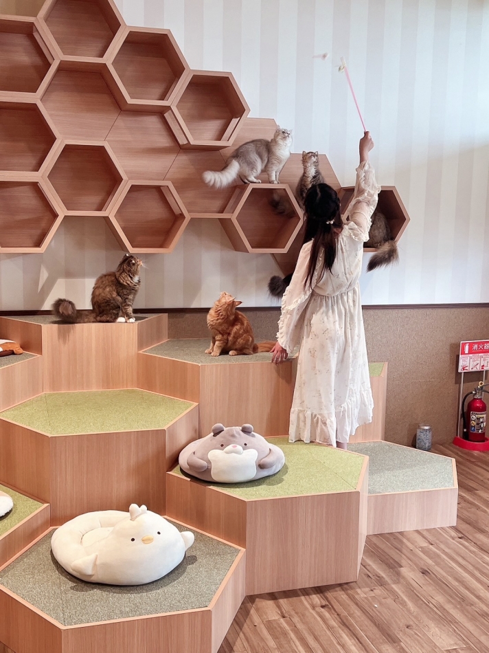 大集合🐱ྀི🐱ྀི🐱ྀི