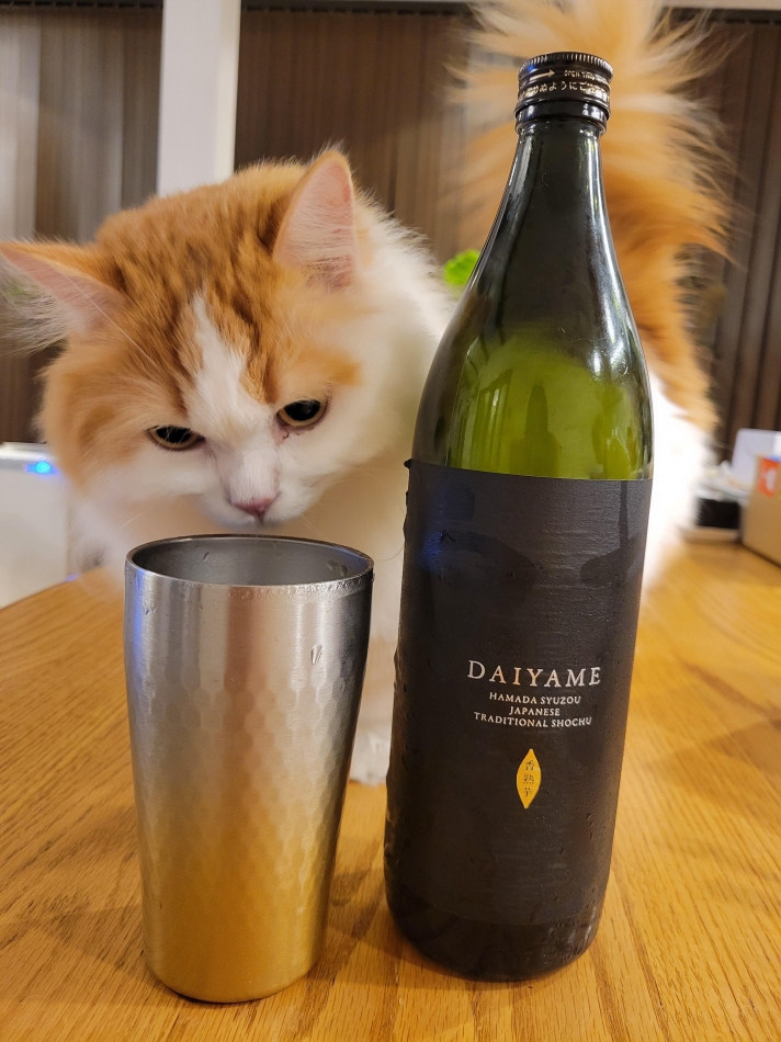 8月24日 02時07分のブログ