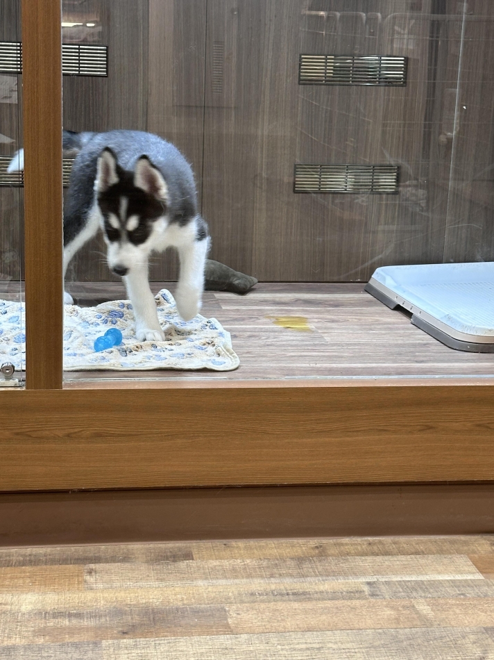 CLUB Red日記1375632