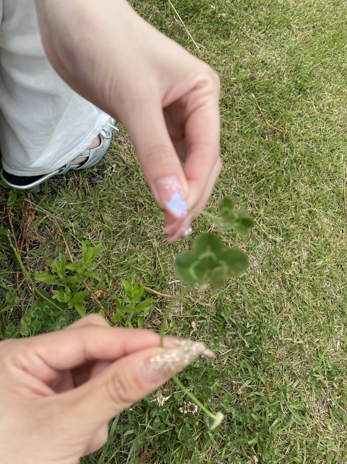 小さな幸せ🍀︎✨