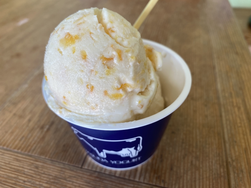 安田ヨーグルト🍦