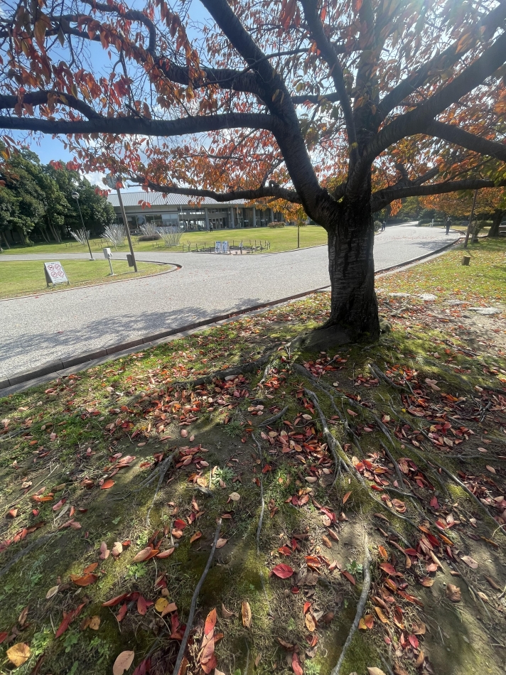 スナックBar Peace日記1513924