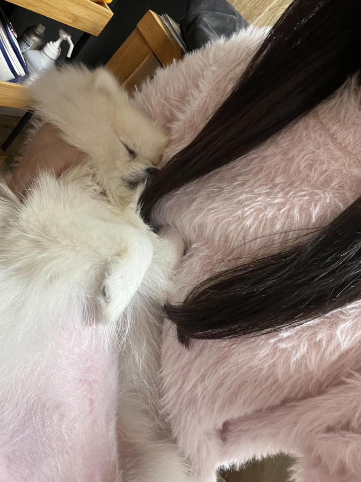 スナックBar Peace日記1566317