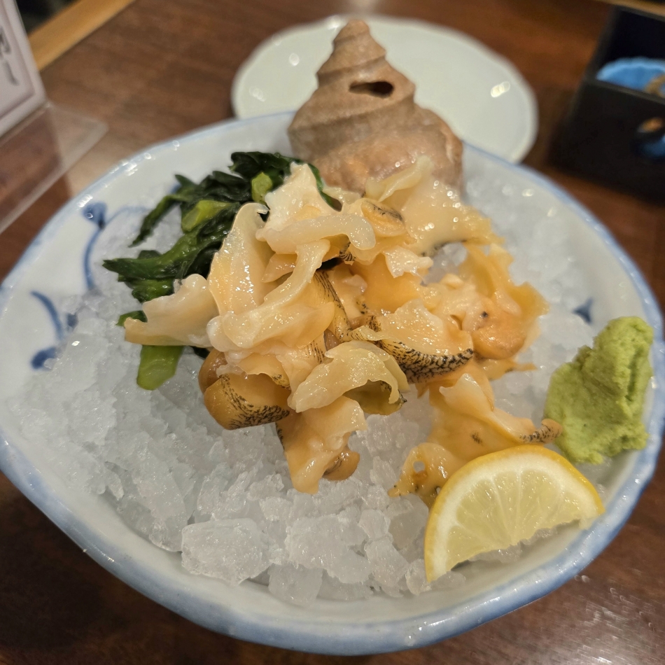 一条 葵