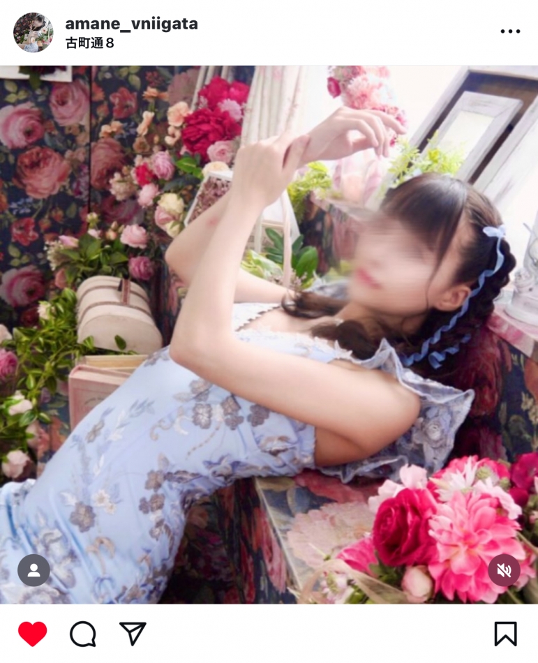 V-niigata-日記1185472