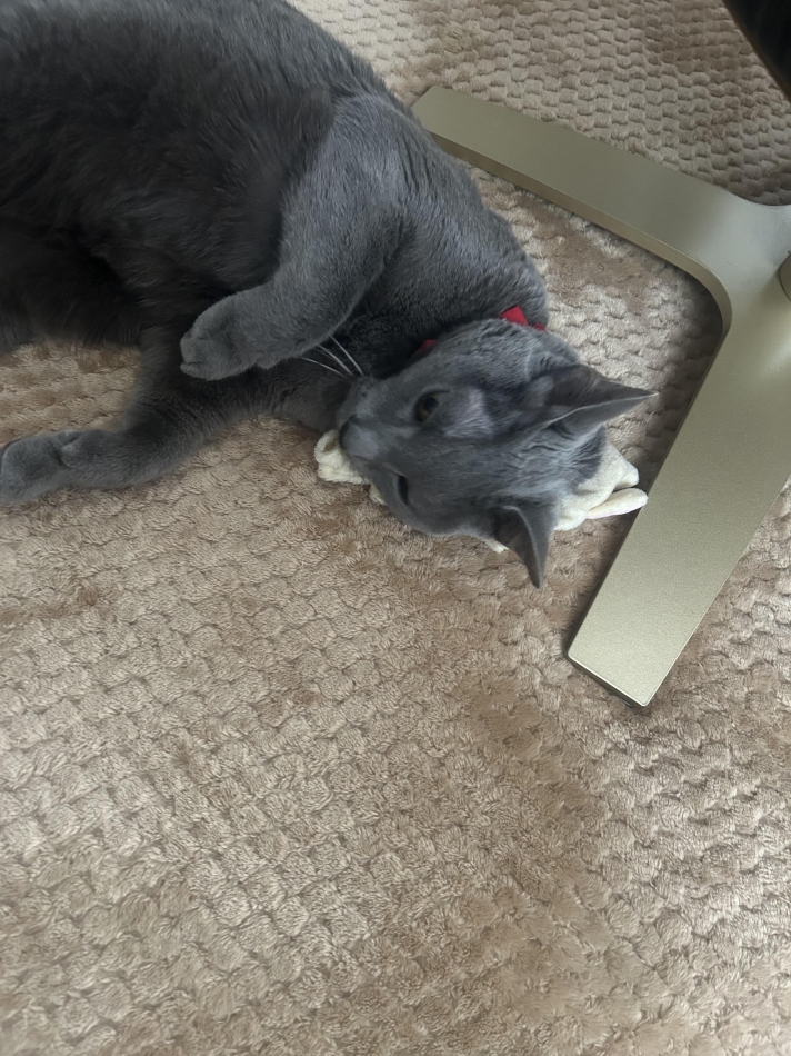 Club Ruby日記1622945