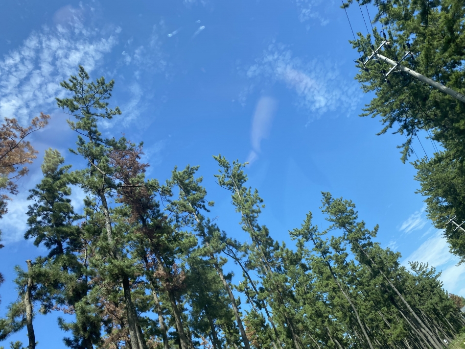 Club ILY日記1468001