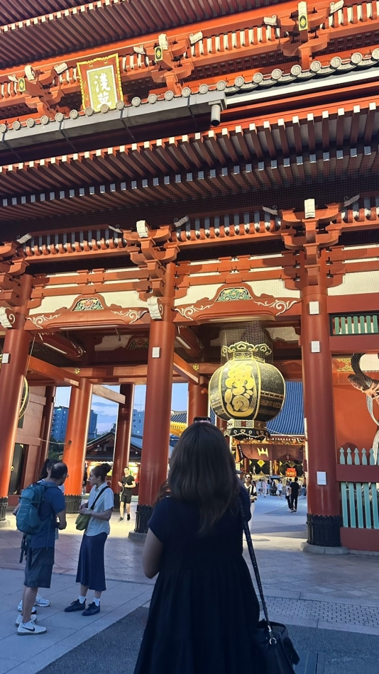 一条 葵