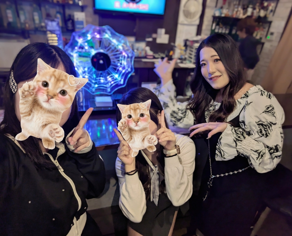 一条 葵
