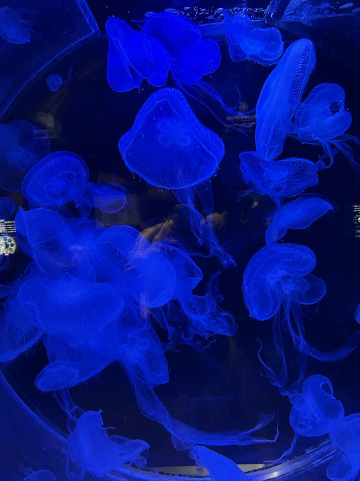 Lounge Veranda日記1567560