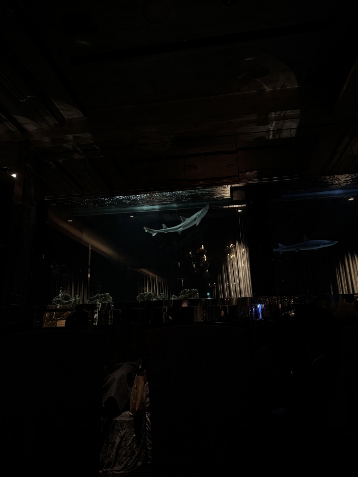 GRAND ROUGE日記1568694