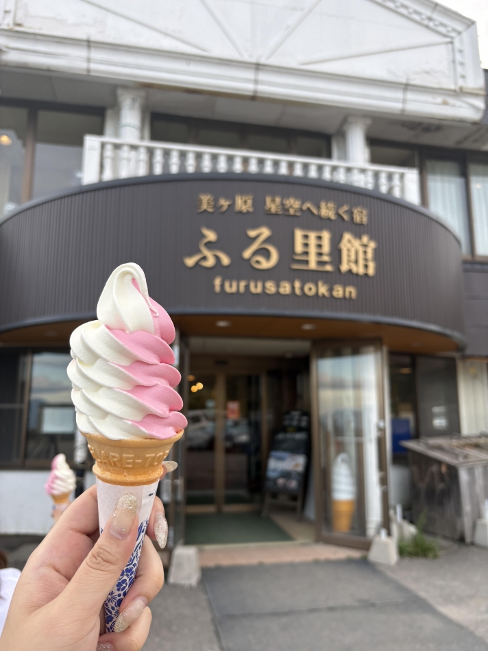 一条 葵