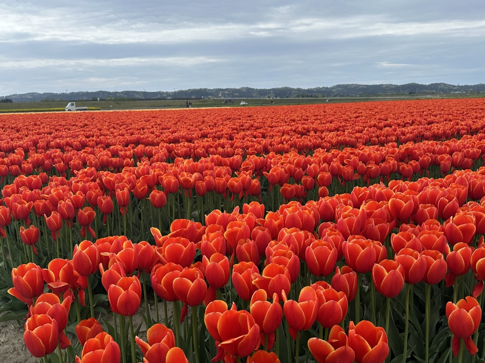 スナックBar Peace日記1646272