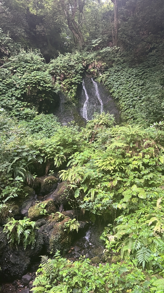 ❤️‍🔥❤️‍🔥❤& #xFE0F;‍🔥