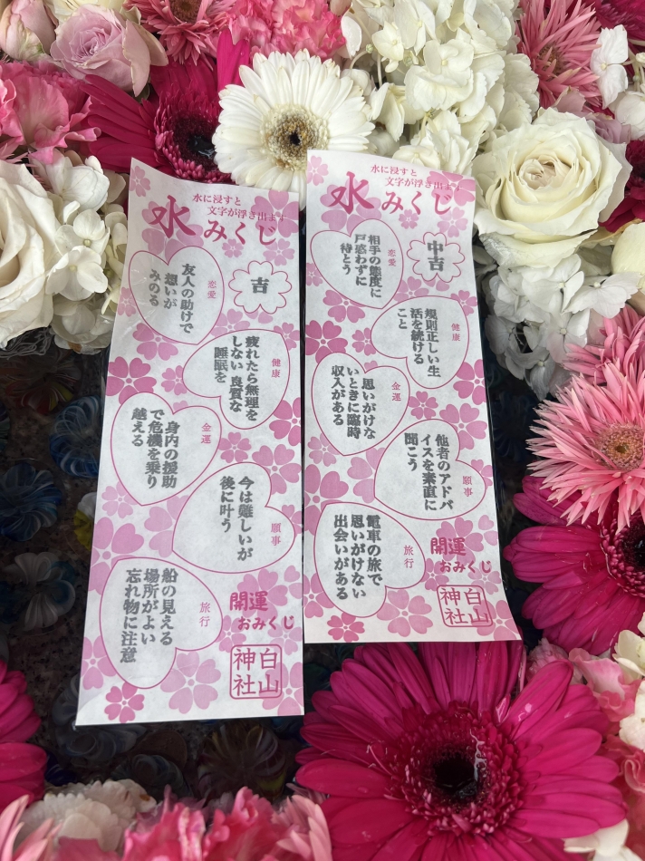 おみくじ⛩
