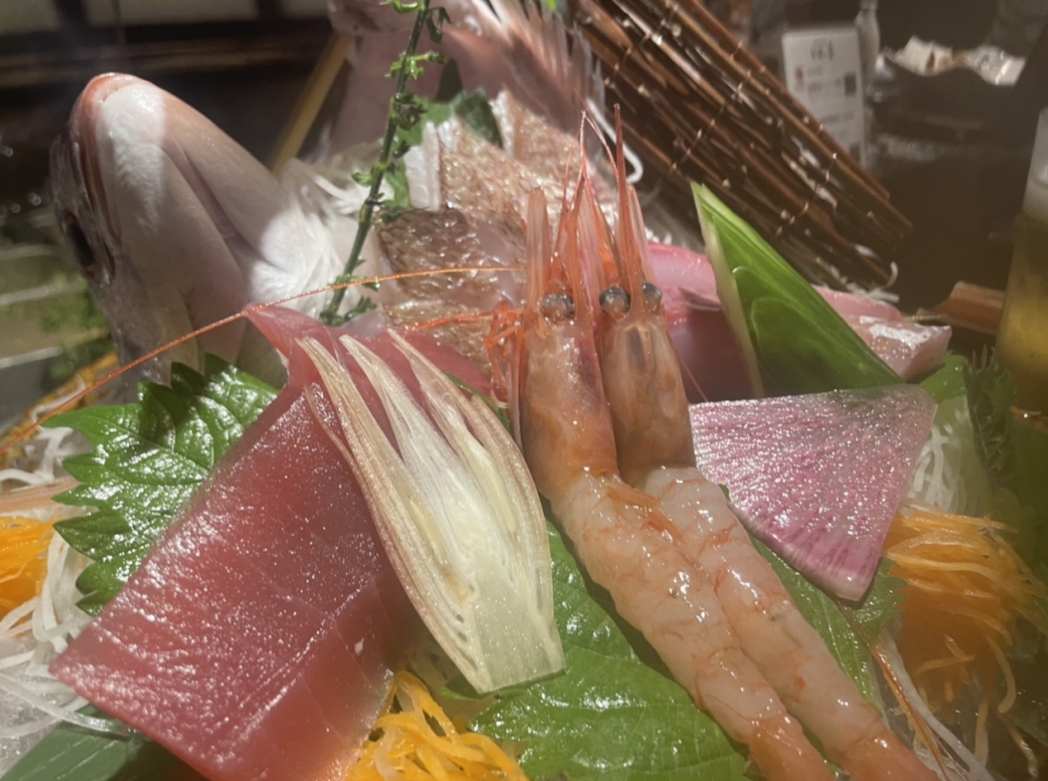 餌付けされてきました՞_  ̫ _ ̥՞.?♡