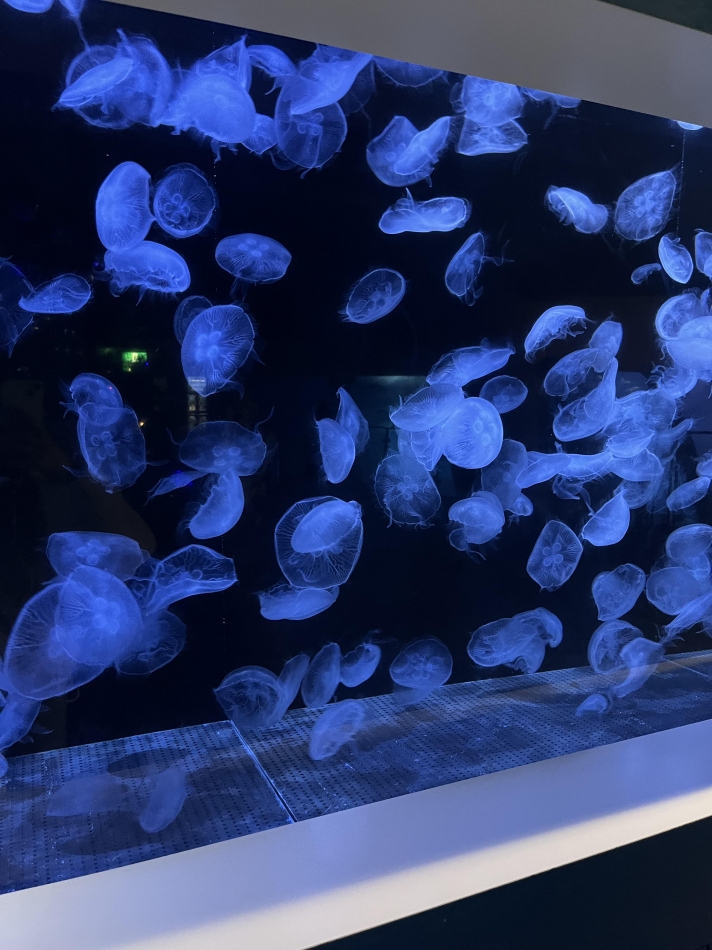 CLUB FELIX日記1609619