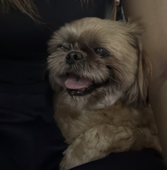 Lounge Anshu日記1573701