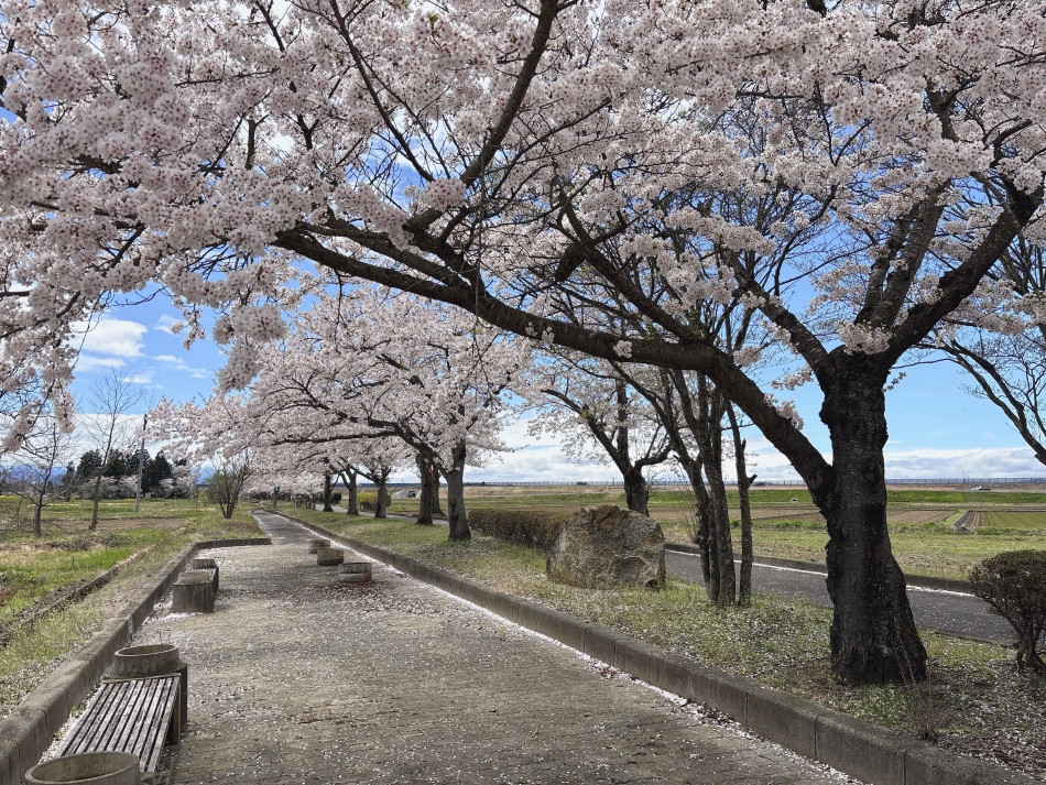 熟女キャバクラ Lips日記1634853