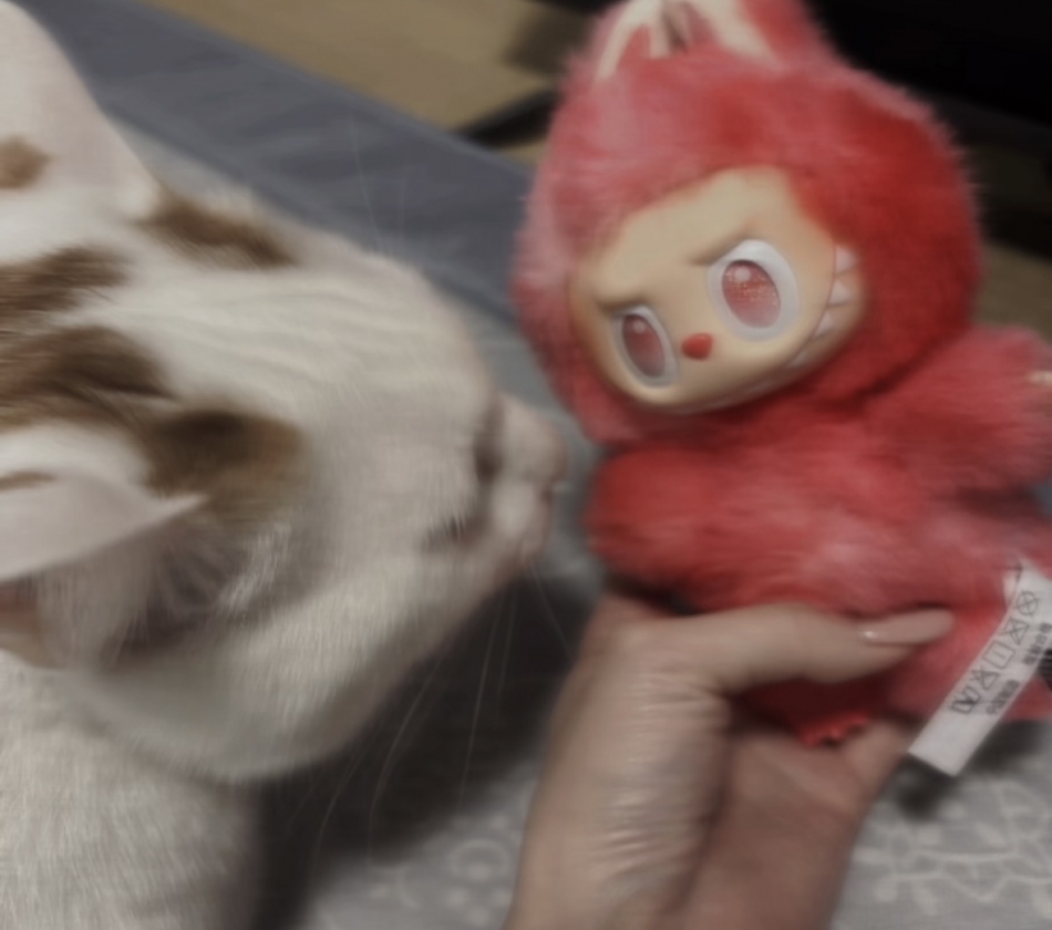 CLUB FOUR GARDEN日記1502583