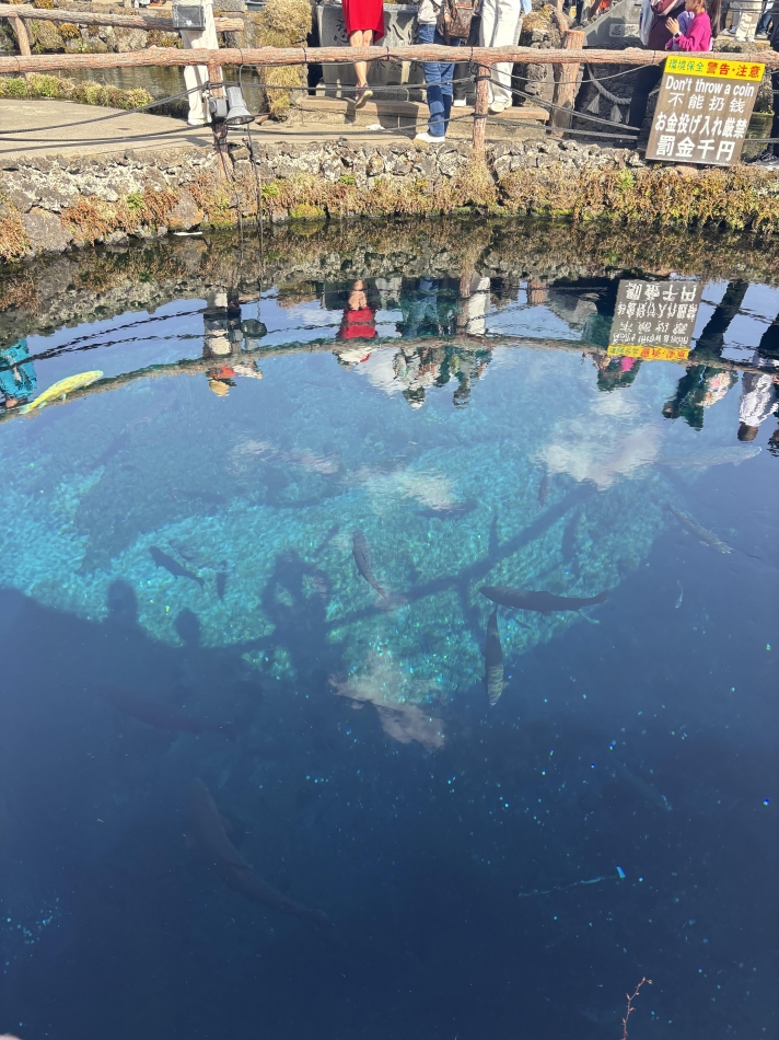 こんばんは¨̮⃝ 3/28