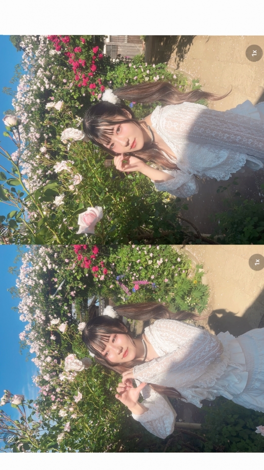 一条 葵
