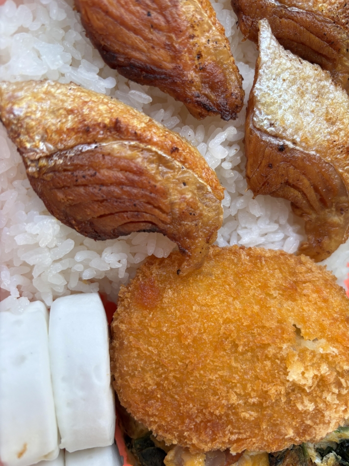 一条 葵