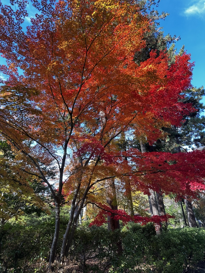 New KANAKO日記1524798