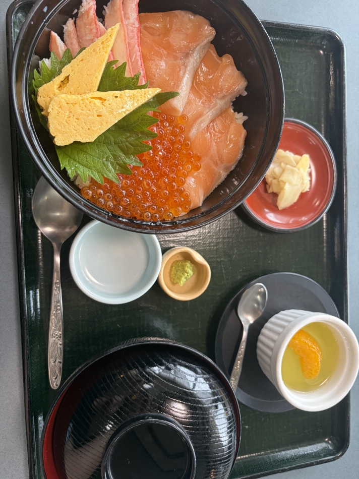 一条 葵