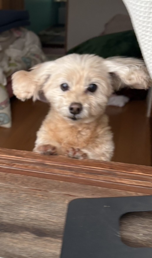 Lounge Veranda日記1587916