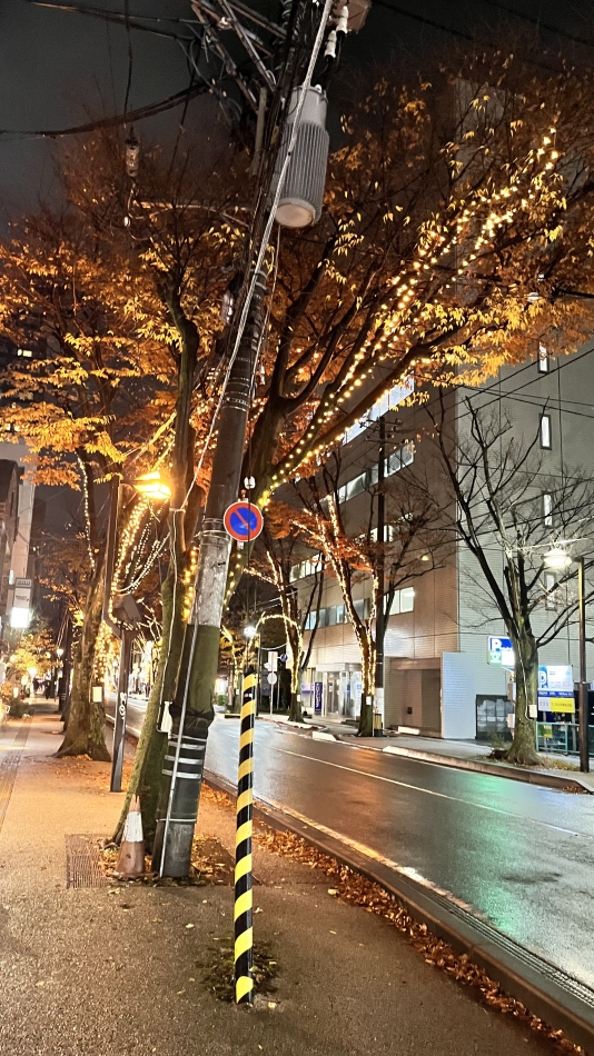 イルミネーション！！