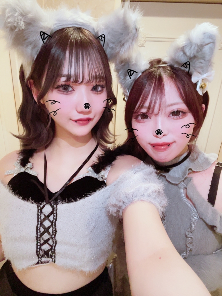 一条 葵