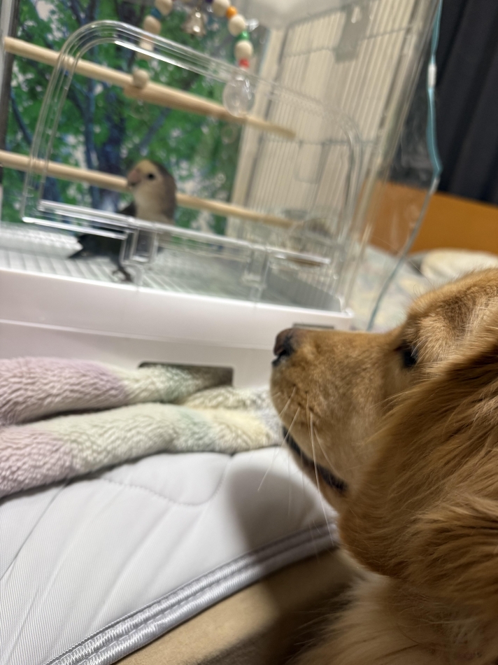 クラブ プラチナ 長野日記1518045