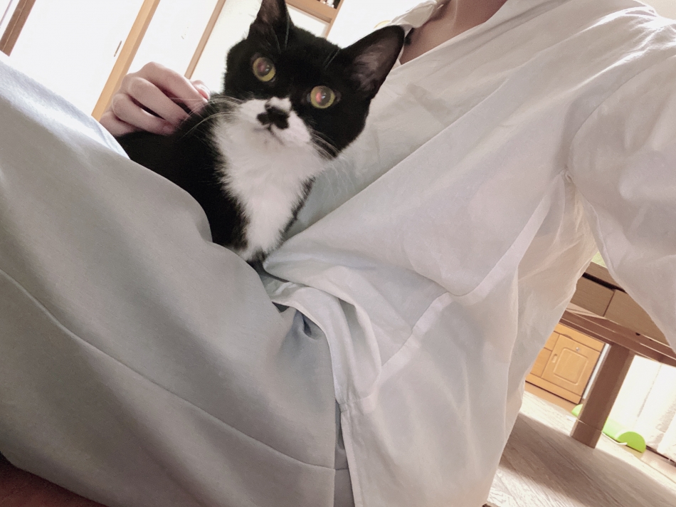 おやすみなさい😪😴💤